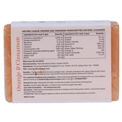 Nature League Orange and Cinnamon Body wash 200, Orange and Cinnamon handcrafted Natural Soap 100 gm ,Tea Tree & Licorice Natural, Oil Control Face Wash 100 ml