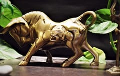 Brass Charging Bull (L*W - 6.5"/4" )