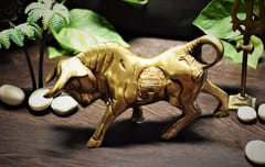 Brass Charging Bull (L*W - 6.5"/4" )