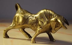 Brass Charging Bull (L*W - 6.5"/4" )