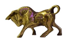 Brass Charging Bull (L*W - 6.5"/4" )