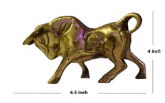 Brass Charging Bull (L*W - 6.5"/4" )