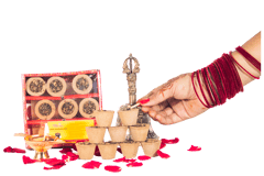 Panchgavya Sambrani Dhoop Cups(Pack of 2)