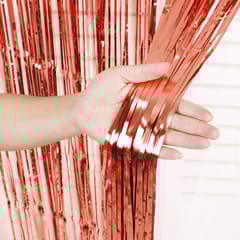 Foil Fringe Back Curtain for party decor (Pack of 2)